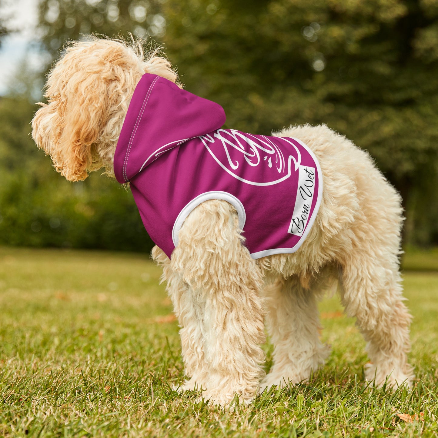 Pet Hoodie